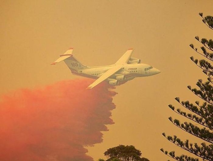  Nguyên nhân khiến tình trạng cháy rừng ở Australia trở nên nghiêm trọng là do hạn hán kéo dài cùng với gió mạnh, độ ẩm thấp và nhiệt độ cao 