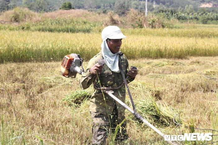 Dù lao động cực nhọc nhưng trên môi họ luôn nở nụ cười. 