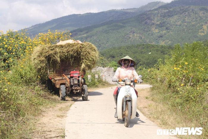  Những ngày này, khắp các con đường quê đều dập dìu người ra đồng. 