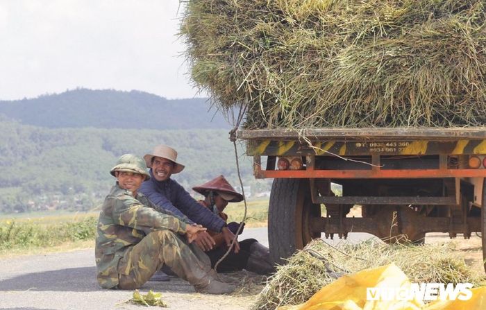 Sau một buổi sáng mệt mỏi, họ ngồi nghỉ giải lao, trò chuyện. 