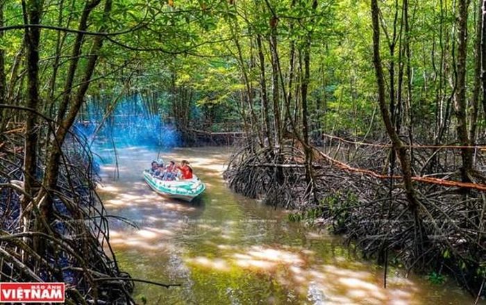 Du khách trải nghiệm hệ sinh thái ngập nước ven biển Đất Mũi-Cà Mau. (Nguồn: Báo ảnh Việt Nam)