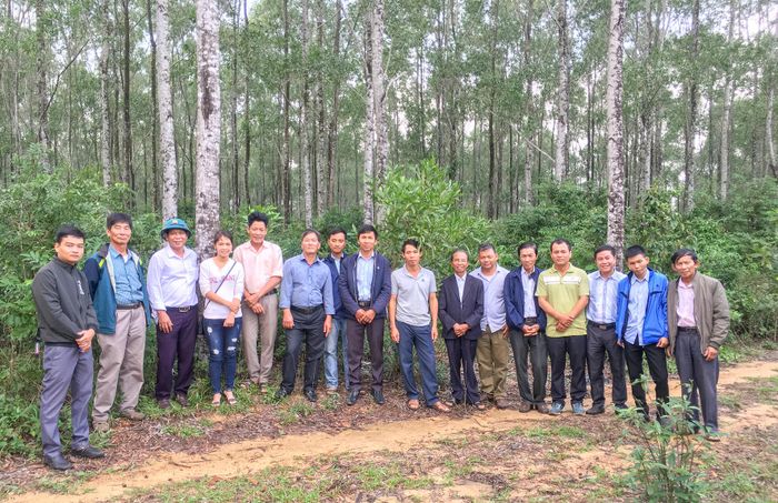 Các học viên tham quan mô hình trồng rừng gỗ lớn tại Trung tâm Khoa học lâm nghiệp Bắc Trung bộ
