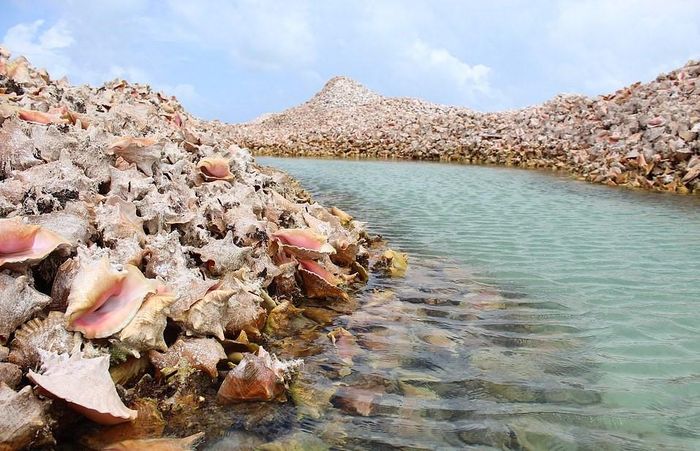 Sau thời gian dài, những vỏ ốc chồng chất lên nhau và tạo thành đảo Conch. Ngày nay, hòn đảo được cho là cao đến gần 4 m. Các nhà hàng lấy thịt ốc và làm thành những món ăn phổ biến như ốc xà cừ chiên đi kèm với nước sốt kiểu mayo. 