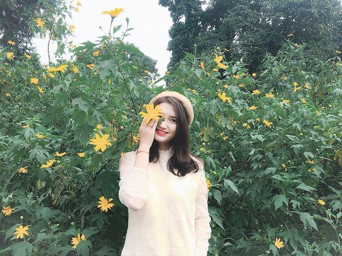 Ba Vì ngày đẹp trời với chút sương, chút se lạnh khiến bạn say mê, đắm chìm giữa cỏ cây, hoa lá và check-in những tấm hình đậm chất thơ. Ảnh: Thúy Mơ.