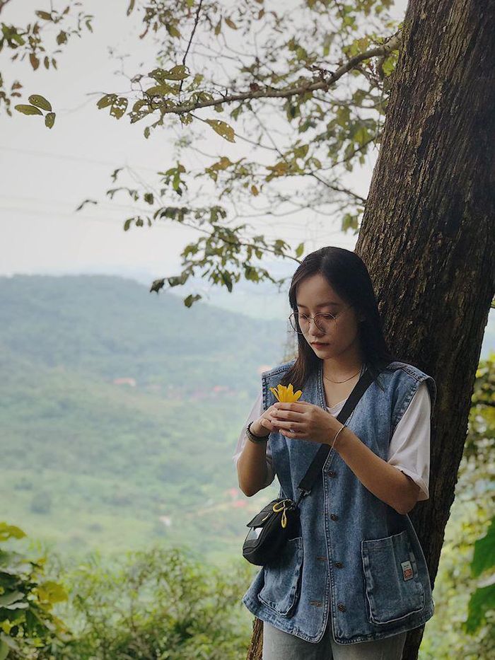 Đến vườn quốc gia Ba Vì, bạn còn có cơ hội ghi dấu những khoảnh khắc của riêng mình với rừng thông, địa điểm được nhiều bạn trẻ thích thú bởi nhìn từ xa trông giống như Đà Lạt thu nhỏ, đẹp dịu dàng và lãng mạn. Ảnh: Nga Ngố. 