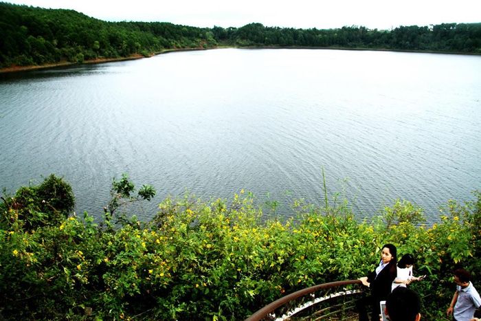 Dã quỳ ở Biển Hồ.