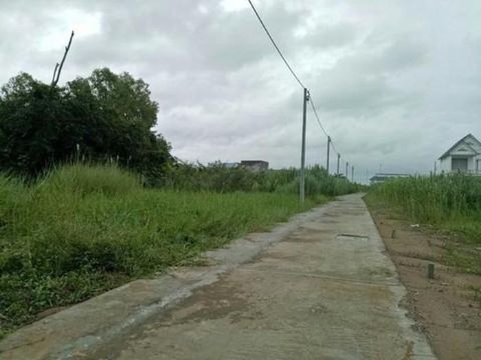 Khu đất cỏ mọc tràn lan được phân lô, bán nền