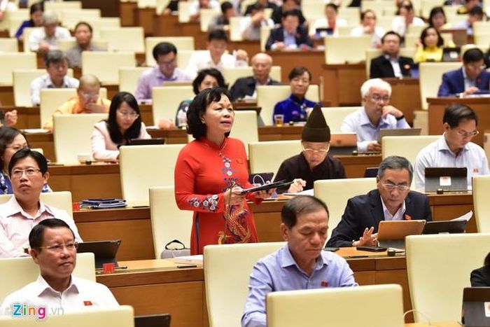 Đại biểu Nguyễn Thị Mai Hoa (Đồng Tháp). Ảnh: Hải Quân.