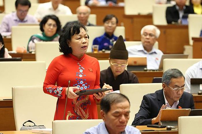 ĐB Nguyễn Thị Mai Hoa: Đáng buồn là khi truy cứu trách nhiệm, trên đổ lỗi cho dưới là không chấp hành, còn dưới thì quy là trên không hướng dẫn