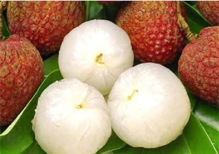 Trái vải lớn cỡ ngón chân cái, tạo thành chùm, vỏ màu đậm hơi sần sùi. Vị ngọt dịu mát hòa lẫn với mùi thơm của nước vải ngấm vào tận răng người thưởng thức.