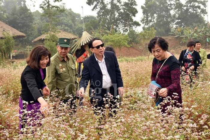 Từ các em bé đến các bác trung niên đều ngỡ ngàng trước vẻ đẹp của hoa Tâm giác mạch