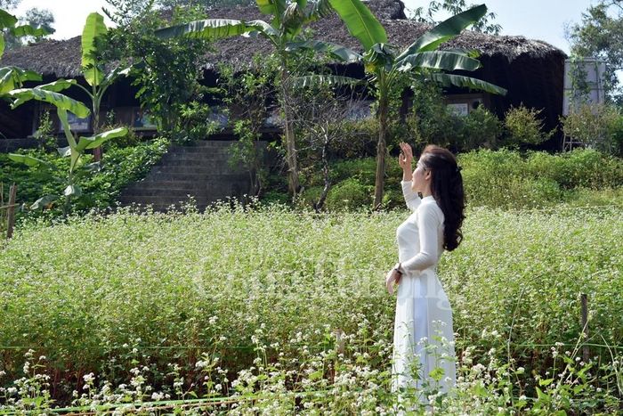 Đón bình minh trên thung lũng hoa