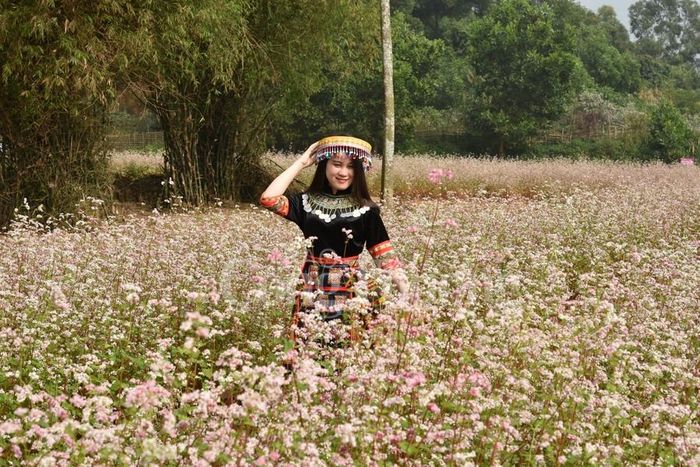 Màu xanh của lá, hòa quyện sắc hoa tạo nên khung cảnh đẹp mê hồn