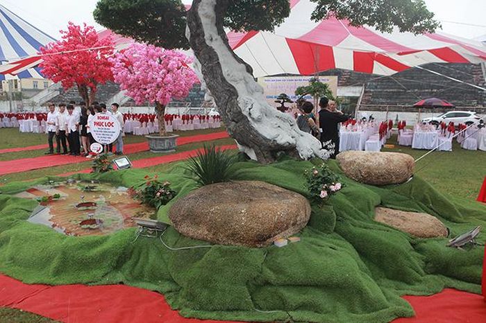 Những hòn đá cuội lớn sắp xếp dưới gốc tạo thành tiểu cảnh đẹp mắt