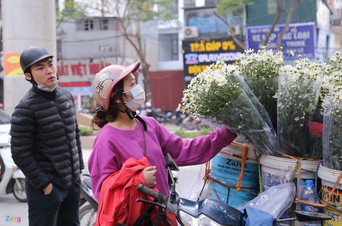 Bên cạnh tặng thầy cô giáo, nhiều người vẫn chọn cúc họa mi để cắm chơi trong nhà dù giá tăng nhẹ so với ngày thường. 