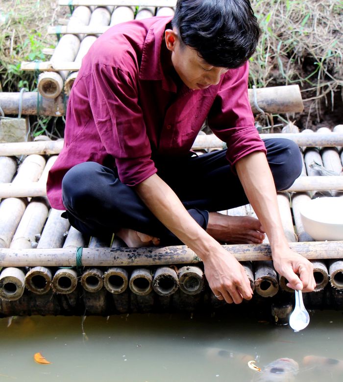 Sau khi bới tô cơm, anh Chiến bước xuống cầu rồi dùng tay cầm muỗng gõ nhẹ vào tô, lập tức đàn cá nổi lên như trong truyện cổ tích Tấm Cám. Sau một hồi vuốt ve, vỗ về, anh Chiến múc muỗng cơm đầy từ từ đưa xuống mặt nước. Lúc này, từng con cá lần lượt thay phiên nhau ngoi lên ăn khiến nhiều du khách không khỏi ngỡ ngàng.