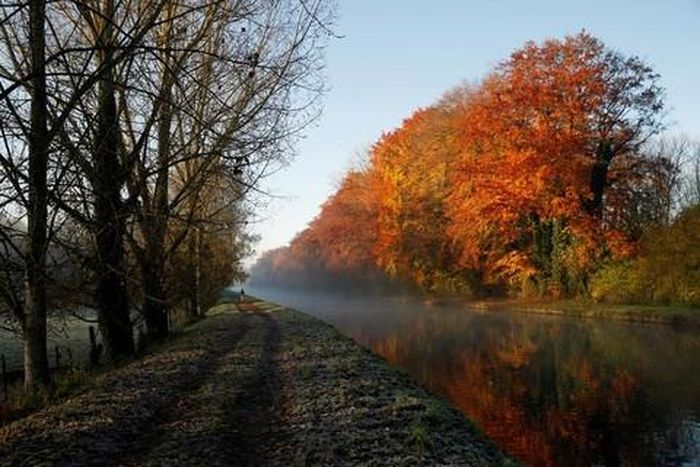 Sắc thu vàng ở Thun-Leveque, Pháp ngày 19-11- Ảnh: Reuters