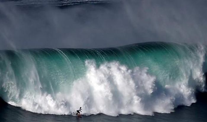 Người biểu tình lướt sóng ở Nazare, Bồ Đào Nha ngày 20-11 - Ảnh: Reuters
