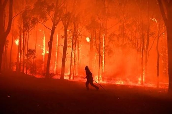 Cháy rừng lan rộng tại bang NSW, Úc ngày 19-11. Các đợt cháy rừng là hồi chuông báo động về thực trạng biến đổi khí hậu trên toàn cầu - Ảnh: Reuters