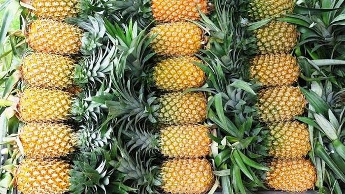 Trái khóm nặng chừng 1kg độ lại.
