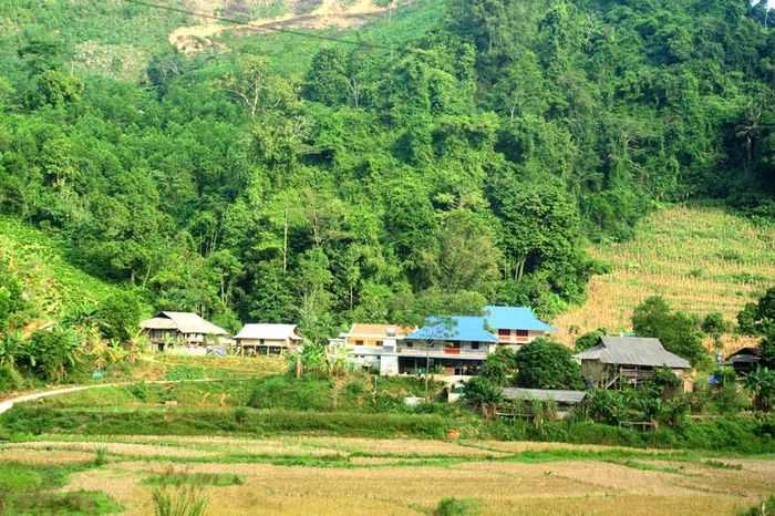 Những ngôi nhà xây mới ở Đèo Trám nhờ tiền khai thác rừng trồng.