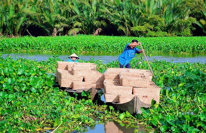 (ĐỒ HIẾU LIÊM – BẠC LIÊU)