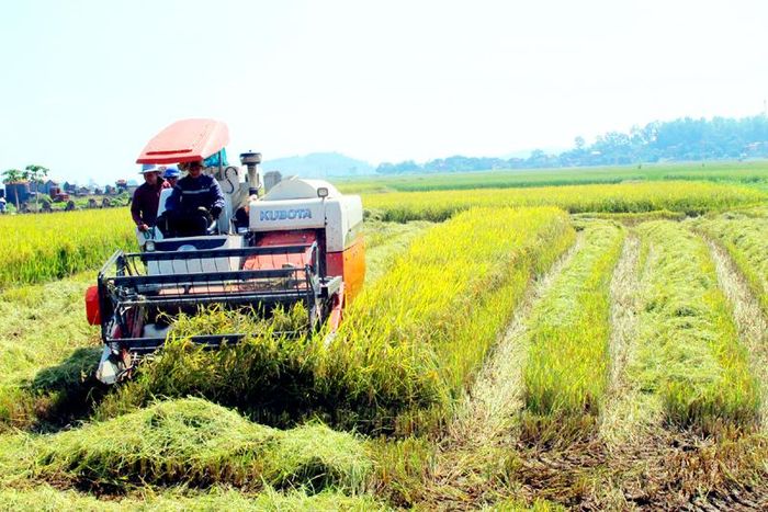  Nhiều địa phương đã áp dụng khoa học kỹ thuật vào nông nghiệp, giảm sức lao động cho người nông dân. Ảnh minh họa:kinhtedothi.vn.