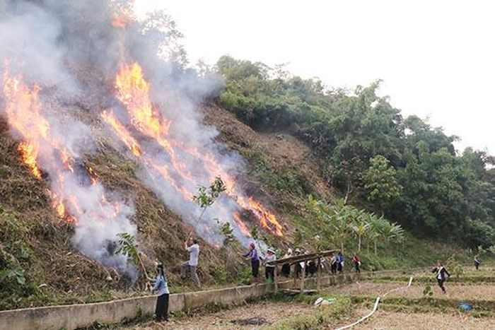 Người dân tham gia dập đám cháy.