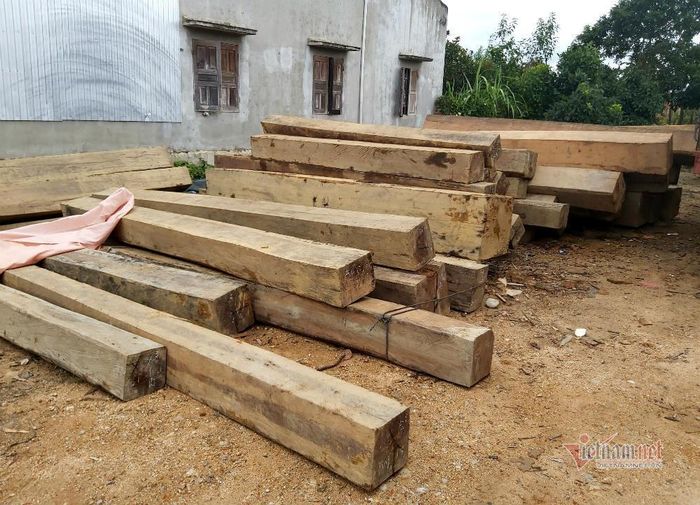 Theo lãnh đạo Đội KLCĐ số 2, thời điểm kiểm tra, chủ phương tiện, doanh nghiệp không xuất trình được hóa đơn, chứng từ nguồn gốc gỗ