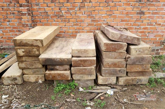 Gỗ được cắt xẻ theo quy cách, cất giấu tại nhiều điểm trong kho bãi doanh nghiệp 