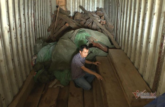 Theo lãnh đạo HKL huyện Ea Kar, toàn bộ số gỗ trong thùng container là gỗ lậu, được chở từ nơi khác đến