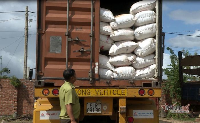 Xe container chở hơn 4,7 m3 gỗ lậu thuộc nhóm 2A và ngụy trang kín đáo bằng các bao tải chứa hạt nhựa