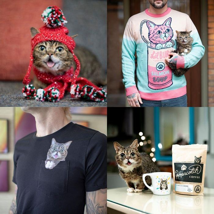 Tính đến thời điểm hiện tại, tài khoản Instagram mang tên Lil Bub có tới 2,4 triệu người theo dõi trong khi Fanpage trên Facebook có hơn 3 triệu lượt thích còn kênh YouTube có hơn 342 nghìn người subscribe. Lil Bub còn xuất hiện trên Reddit và được người dùng mạng xã hội này hâm mộ đến mức chủ nhân Mike Bridavsky bắt đầu làm lịch, áo thun in hình Lul Bub để gây quỹ từ thiện cho động vật.