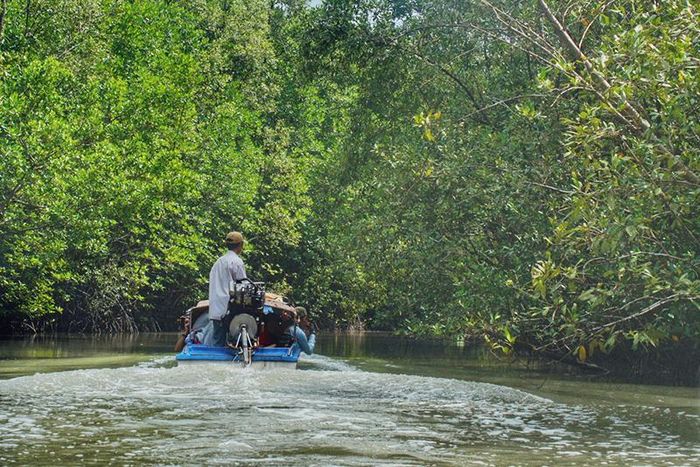 Nhưng hấp dẫn nhất và đúng chất miền Tây nhất vẫn là phương án đi cũ, theo lối bến tàu Năm Căn, bắt cao tốc, ca-nô hay vỏ lãi chạy gần hai tiếng trên sông Cửa Lớn, len lỏi giữa những cánh rừng đước xanh mướt tiến ra biển, nơi đất mũi Cà Mau.