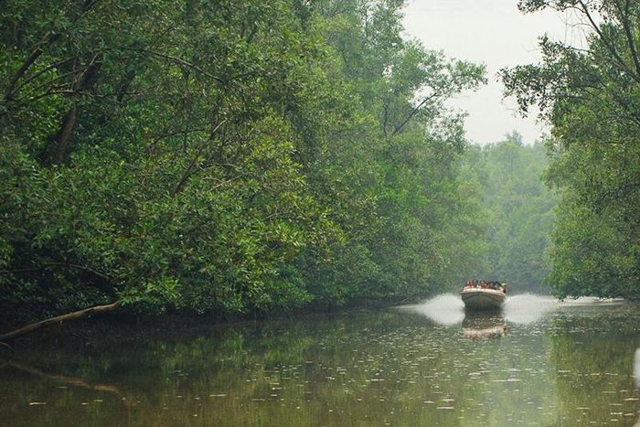 Rừng đước Cà Mau là điểm đến lý tưởng cho giới khoa học nghiên cứu, đặc biệt sở hữu tiềm năng du lịch sinh thái lớn nhất miền Tây. Hiện đã có bốn tuyến du lịch sinh thái được Vườn quốc gia đưa vào khai thác, bao gồm: Tuyến 1: tham quan rừng ngập mặn, bãi bồi; Tuyến 2: khám phá giếng trời, rừng nguyên sinh; Tuyến 3: tham quan diễn thể rừng tự nhiên, cồn Ông Trang; Tuyến 4: tham quan bãi bồi ven Biển Đông, rừng ngập mặn, bãi bồi ven Biển Tây.