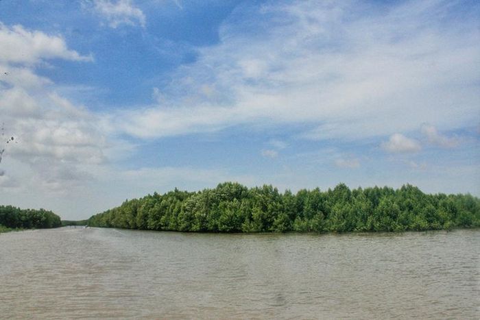 Ngày nay, rừng đước Cà Mau trải dài trên địa giới sáu huyện, từ Đầm Dơi, Phú Tân, Trần Văn Thời, U Minh, Ngọc Hiển và Năm Căn. Trong đó tập trung chủ yếu ở hai huyện gần với điểm cực nam nhất là huyện Năm Căn và huyện Ngọc Hiển.