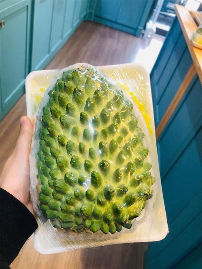 Hình ảnh loại na khổng lồ, mỗi trái thường nặng hơn 1 kg. Nguồn ảnh: Khúc Ngọc Anh.