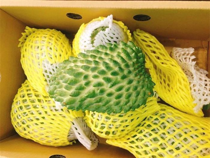 Nguồn ảnh: Khúc Ngọc Anh.