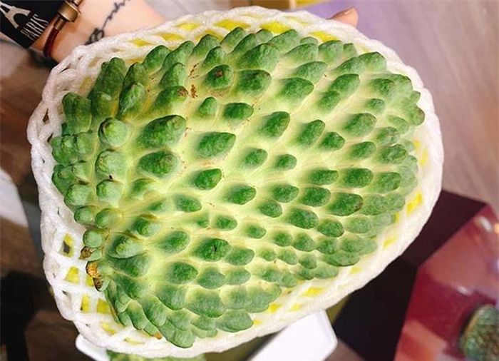 Nguồn ảnh: Khúc Ngọc Anh.