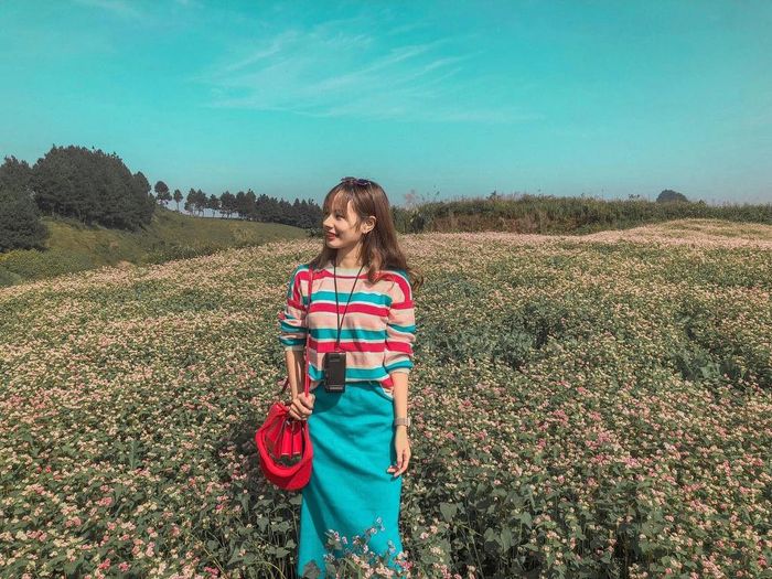 Bạn còn được chiêm ngưỡng cánh đồng hoa tam giác mạch bao la, trải dài trên triền đồi rực rỡ khi lạc lối vào vùng đất này. Ảnh: Vân Anh.