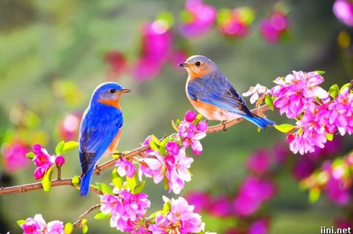 Trái tim nàng đã tự tin, đắm say trở lại...