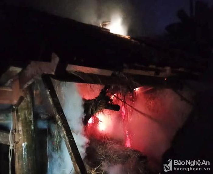 Rơm chất trong chuồng bò là thứ dễ bén lửa.