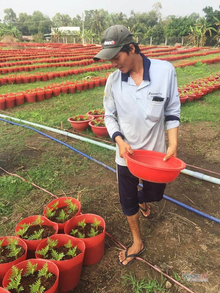 Lê Chiêu Linh, chủ nhân 15.000 chậu hoa Tết.