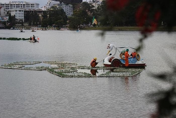 Ngoài ra còn có Hội thi “Hội tụ sắc màu lan”, Hội chợ triển lãm thương mại quốc gia Festival Hoa Đà Lạt năm 2019 tại Công viên văn hóa đô thị Đà Lạt, giao lưu văn hóa nghệ thuật Việt Nam - Hàn Quốc…