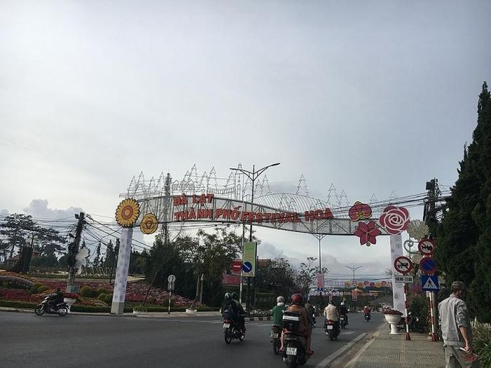 Du khách đến với Festival cũng được thưởng lãm những không gian hoa mang tính nghệ thuật cao, thưởng thức hương vị đặc sản địa phương tại Phố trà - cà phê - rượu vang, phiên chợ rau - hoa; Đêm hội Rượu vang Đà Lạt…