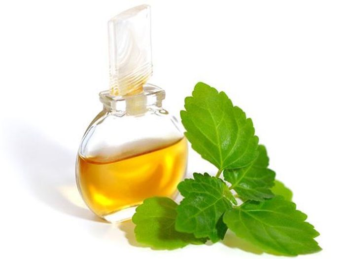 Tinh dầu hoắc hương cũng được phái đẹp ưu ái trong công cuộc làm đẹp