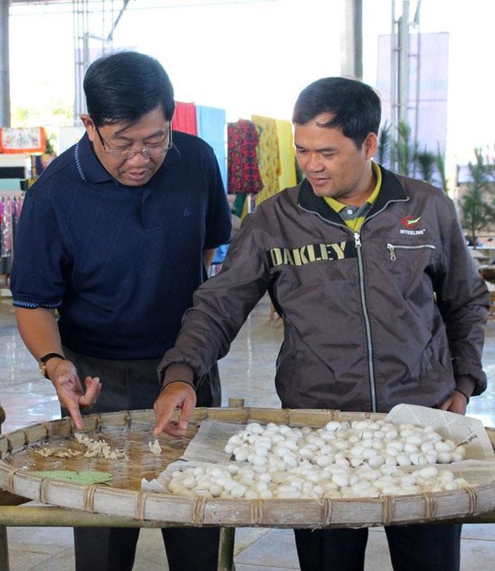 Du khách tham quan và tìm hiểu vòng đời của con tằm