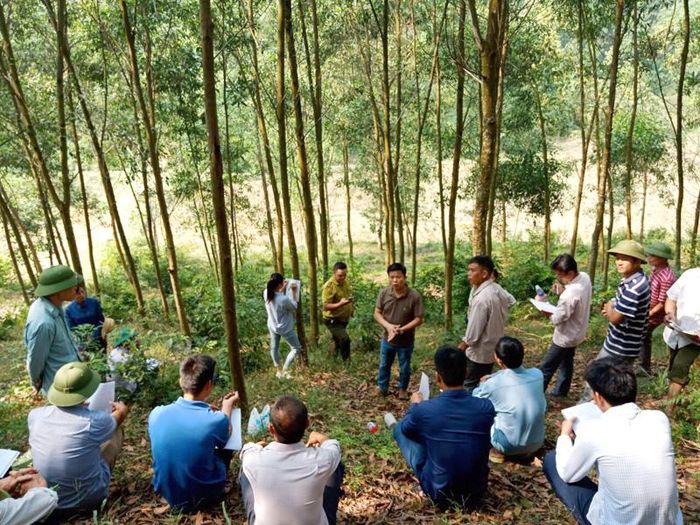 Các hộ gia đình có rừng xã Hùng Đức (Hàm Yên) tham gia lập hồ sơ cấp chứng chỉ rừng FSC.