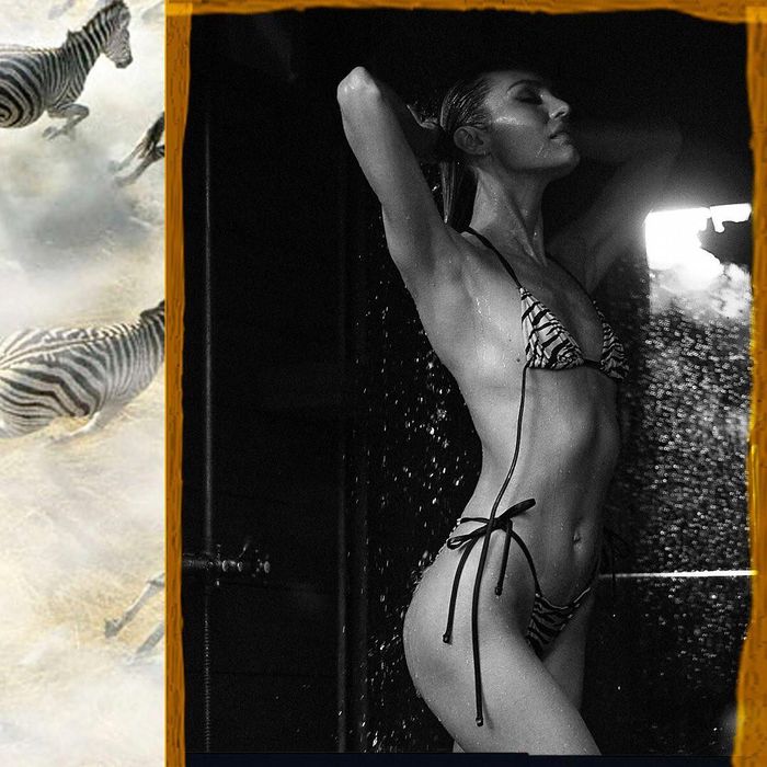 Cô hiện là một trong những thiên thần nội y đắt giá nhất của Victoria's Secret.