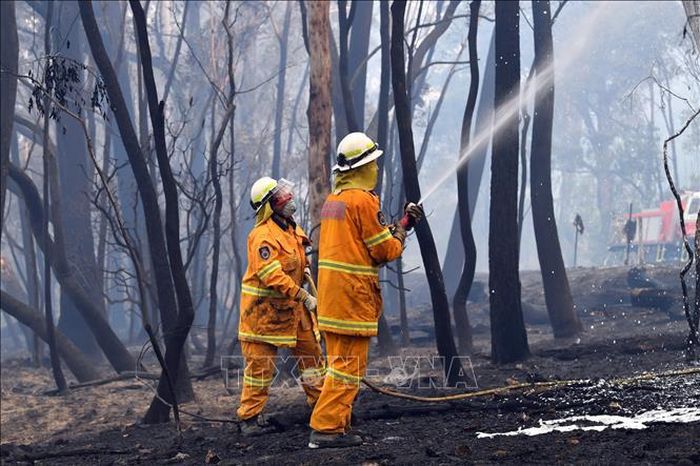 Lực lượng cứu hỏa nỗ lực dập lửa cháy rừng tại Dargan, Australia, ngày 18/12/2019. Ảnh: AFP/TTXVN